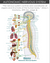 Transform Your Heart Health: Lifestyle Changes That Beat Medications