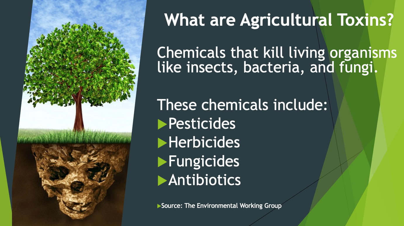 Tackling Toxins in Food and Everyday Products: A Simple Guide to Healthier Living