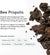 BeeKeeper's Natural Propolis Nasal Spray – 100% Pure Propolis, Natural Nasal Relief 1 fl oz
