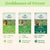 Tulsi Moringa Tea 18 Bags – Organic Herbal Tea for Immunity Boost, Energy, and Detox Support