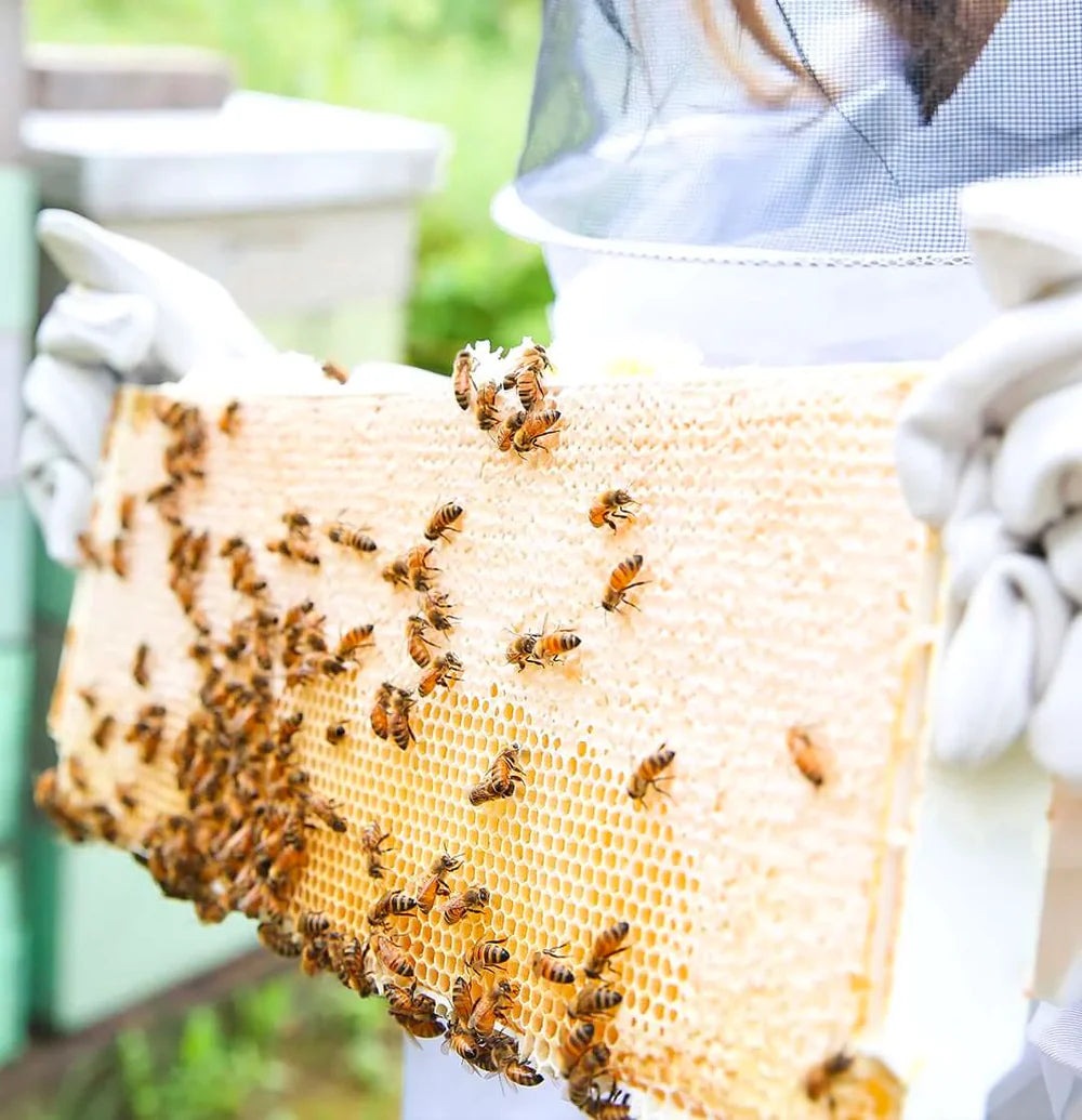 Beekeeper's Natural Superfood Honey – 100% Raw Honey with Nutrient-Rich Ingredients, 125g & 330g